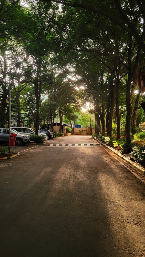 Sunlit road in Bengaluru, India, flanked by trees and parked cars, creating a serene atmosphere.